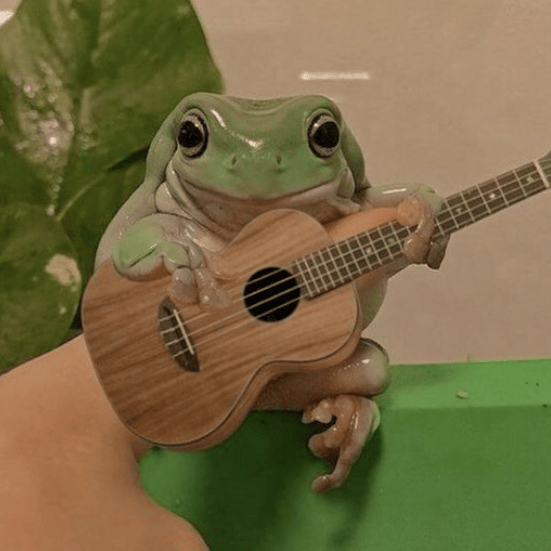 DANCE HALL Bad Bunny