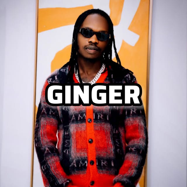 GINGER - Naira Marley Type beat  Afrobeats Instrumental (Afrobeat Type Beat) Instrumental